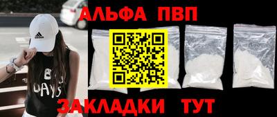 стафф Кингисепп