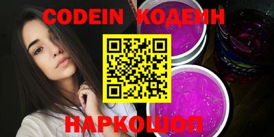 стафф Кингисепп