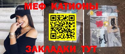 стафф Кингисепп