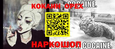 стафф Кингисепп