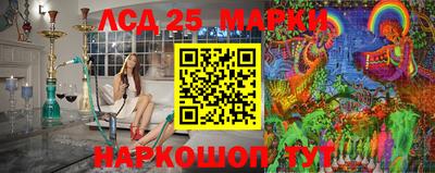 стафф Кингисепп