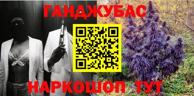 стафф Кингисепп