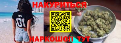 стафф Кингисепп