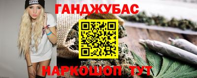 стафф Кингисепп