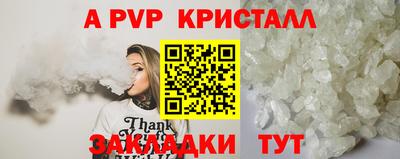 стафф Кингисепп