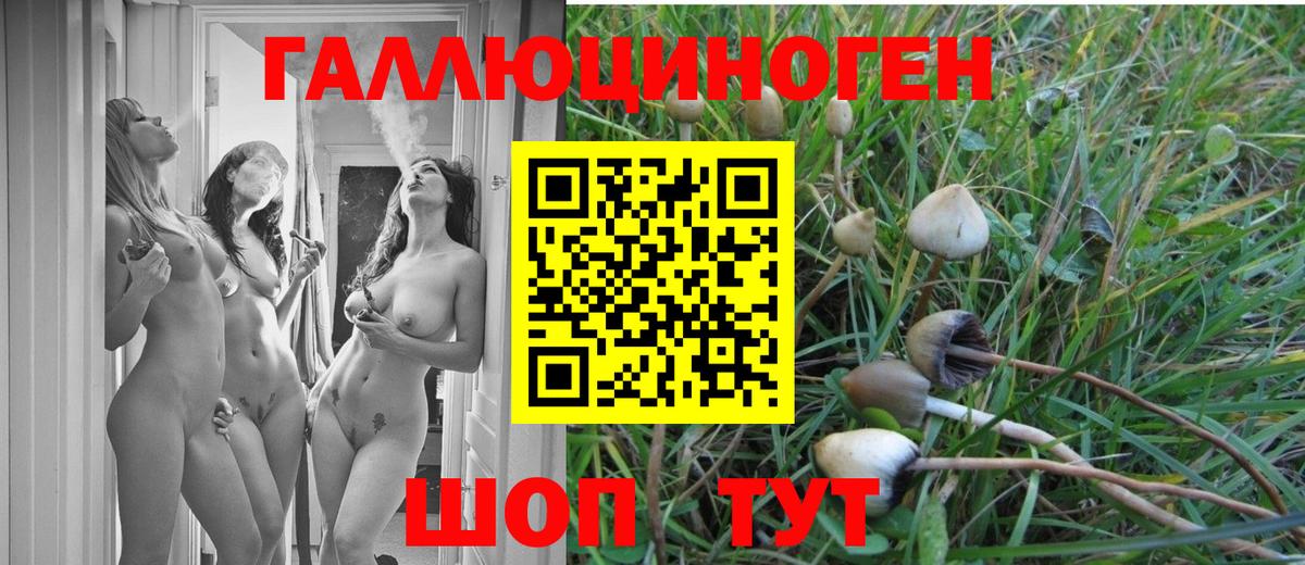 Псилоцибиновые грибы Psilocybine cubensis  Вход с VPN  Киржач 