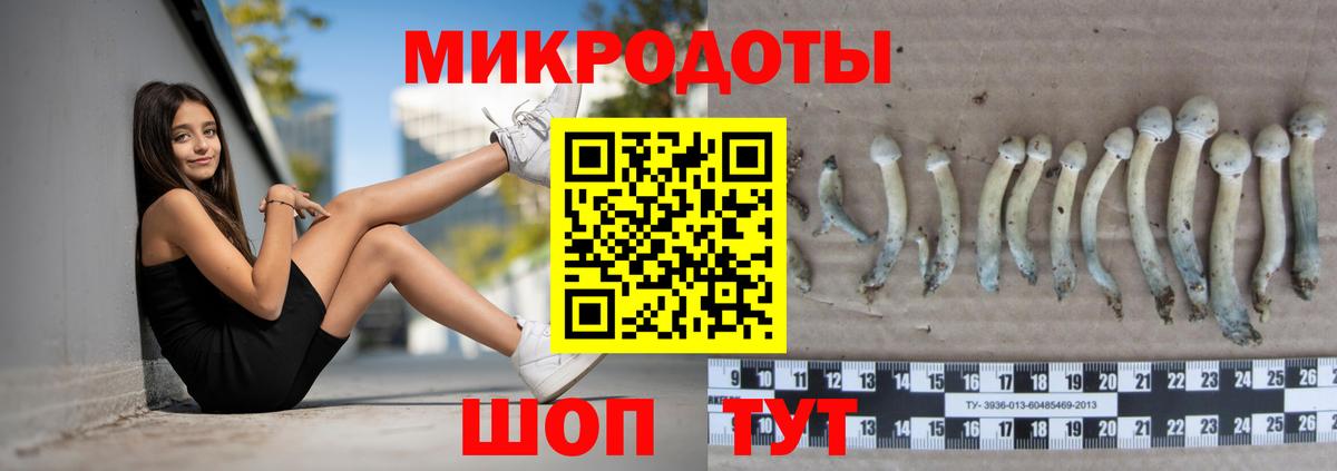 Псилоцибиновые грибы GOLDEN TEACHER Киржач